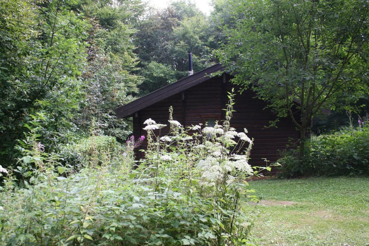 Bungalow; Haus 111 Ferienpark Twistesee, Bad Arolsen Eksteriør billede